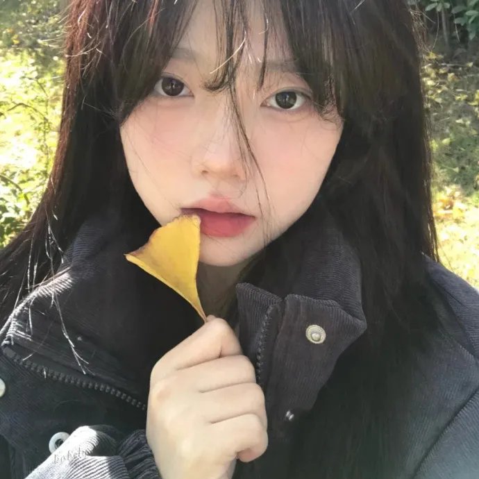 积木之箱
